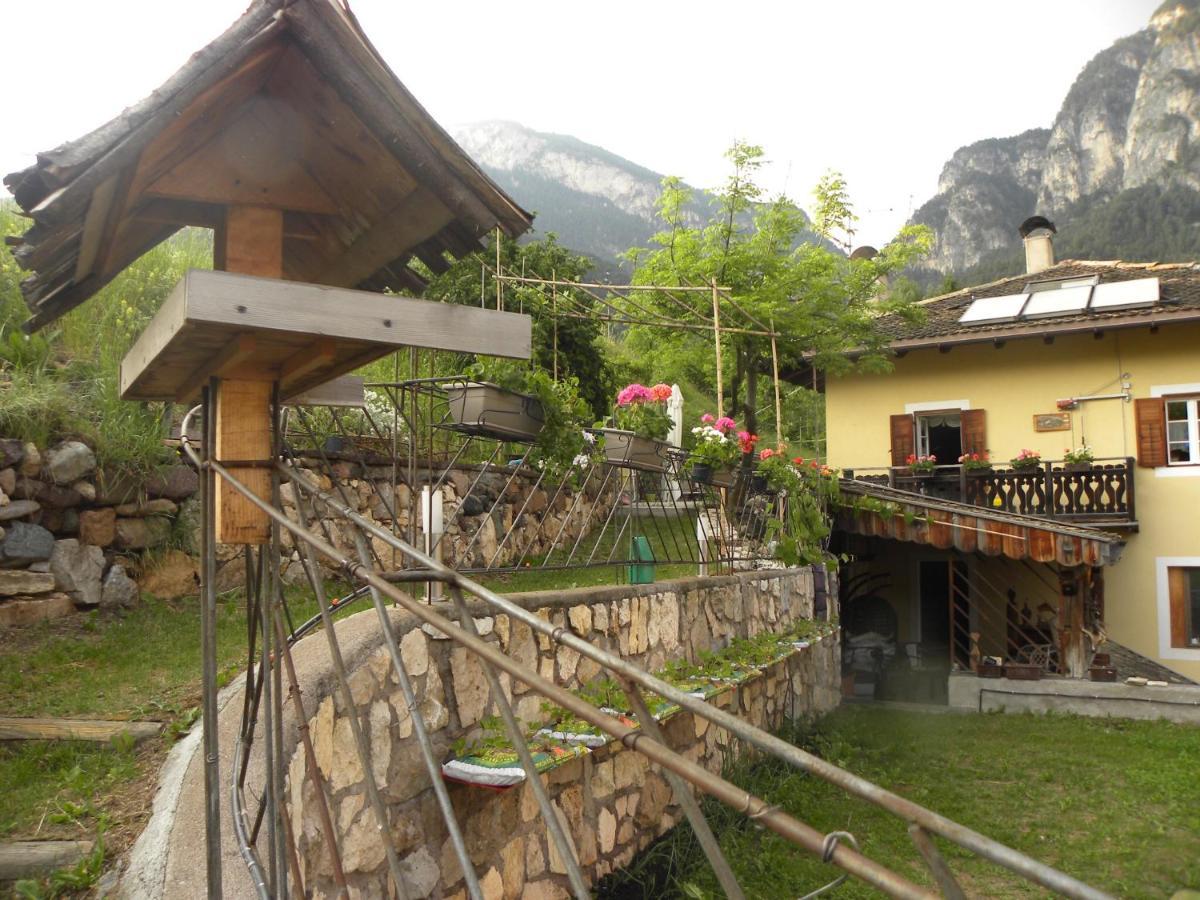 B&B La Casa Delle Bambole Panchia Exterior foto